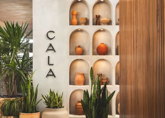 Senna House Scottsdale, Curio Collection By Hilton Scottsdale